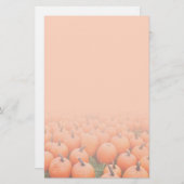 Kürbise Briefpapier (Vorne/Hinten)