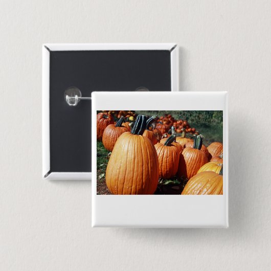 Kürbise Button (Vorne & Hinten)