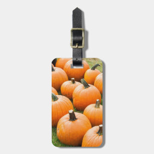 Kürbise für Verkauf am Markt eines Bauern Gepäckanhänger