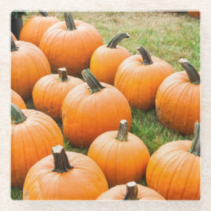 Kürbise für Verkauf am Markt eines Bauern Glasuntersetzer