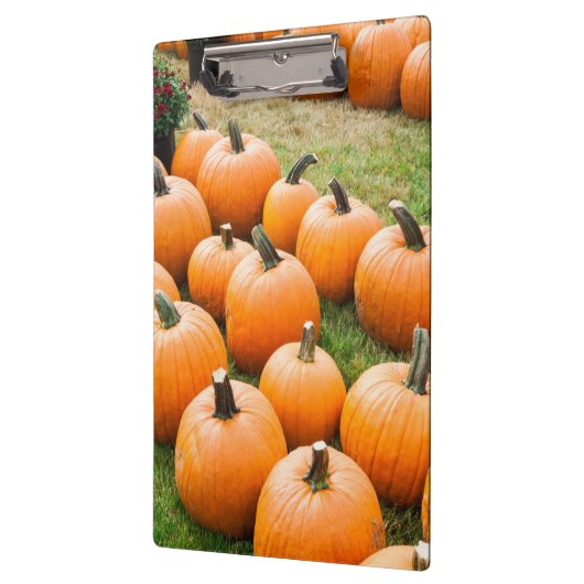 Kürbise für Verkauf am Markt eines Bauern Klemmbrett (Links)