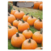 Kürbise für Verkauf am Markt eines Bauern Klemmbrett (Vorderseite)