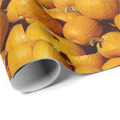 Kürbise Geschenkpapier (Rolleneckpunkt)