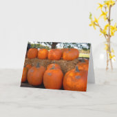 Kürbise Karte (Gelbe Blume)