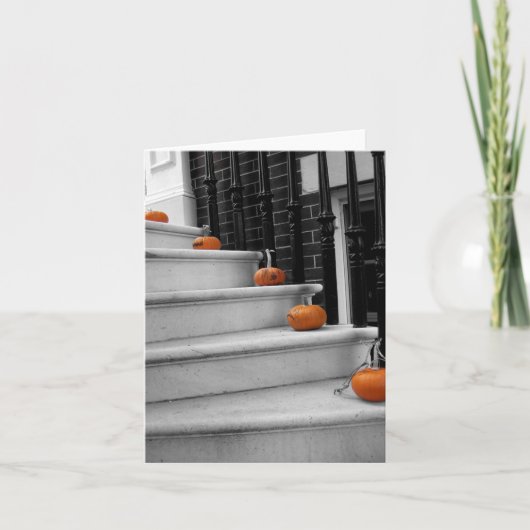 Kürbise Notecards Karte (Vorderseite)