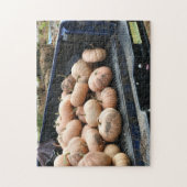 Kürbisernte im LKW-Autum Puzzle (Vertikal)