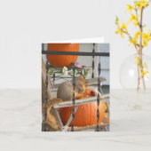 Kürbisfalke Karte (Gelbe Blume)