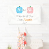 Kürbisfall-Genderoffenbarung Banner (Insitu)