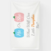 Kürbisfall-Genderoffenbarung Banner (Vertikal)