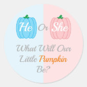 Kürbisfall-Genderoffenbarung Runder Aufkleber (Vorderseite)