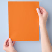 Kürbisfarbe Flyer (Hand)