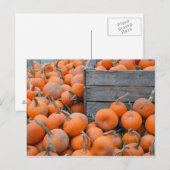 Kürbisfarm-Postkarte Postkarte (Vorne/Hinten)