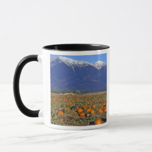 Kürbisfeld Flathead Valley Montana Tasse