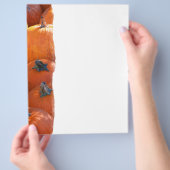 Kürbisfeld Flyer (Hand)