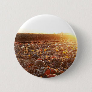 Kürbisfeld Sonnenuntergang C Button