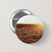 Kürbisfeld Sonnenuntergang C Button (Vorne & Hinten)