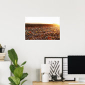 Kürbisfeld Sonnenuntergang C Poster (Heimbüro)