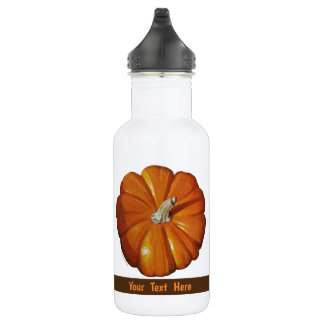 Kürbisflasche Edelstahlflasche