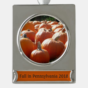 Kürbisfoto für Herbst, Halloween oder Erntedankfes Banner-Ornament Silber