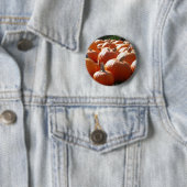 Kürbisfoto für Herbst, Halloween oder Erntedankfes Button (Beispiel)