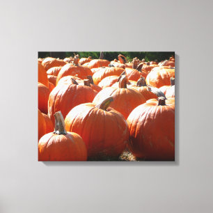 Kürbisfoto für Herbst, Halloween oder Erntedankfes Leinwanddruck