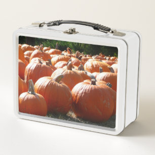 Kürbisfoto für Herbst, Halloween oder Erntedankfes Metall Brotdose