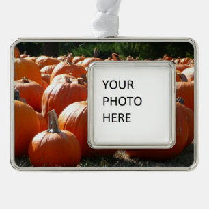 Kürbisfoto für Herbst, Halloween oder Erntedankfes Rahmen-Ornament Silber