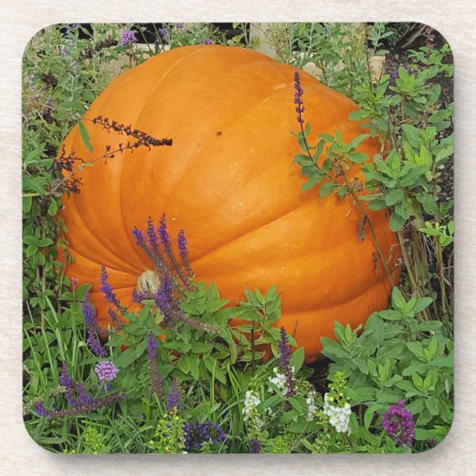 Kürbisgarten-Untersetzer Getränkeuntersetzer (Vorderseite)