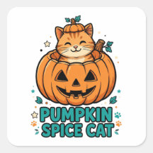 Kürbisgewürz-Katze Halloween Orange Katze in Kürbi