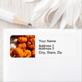 Kürbishalloween Kürbislaterne-Orangenkürbis (Insitu)