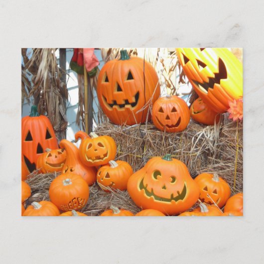 Kürbishalloween Kürbislaterne-Orangenkürbis Postkarte (Vorderseite)
