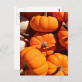 Kürbishalloween Kürbislaterne-Orangenkürbis Postkarte (Vorne/Hinten)