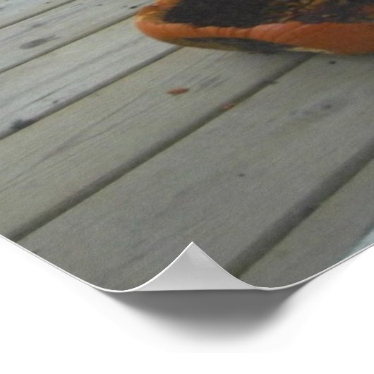 Kürbiskuchen mit Eichhörnchen Poster (Ecke)