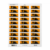 Kürbislaterne Manor (Vorne)