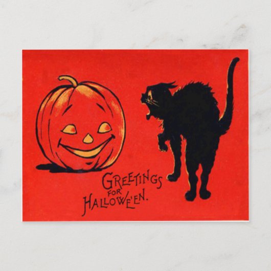 Kürbislaterne Pumpkin Black Cat Postkarte (Vorderseite)
