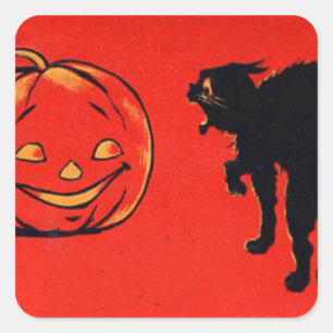 Kürbislaterne Pumpkin Black Cat Quadratischer Aufkleber