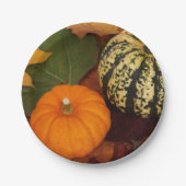 Kürbispapierplatte Pappteller (Vorderseite)