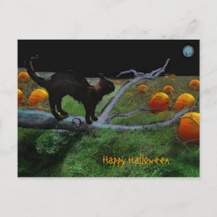 Kürbispatch, glückliches Halloween Postkarte