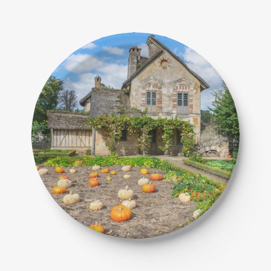 Kürbispflaster und Papierteller (Vorderseite)