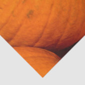Kürbispflasterpapier Seidenpapier (Detail)