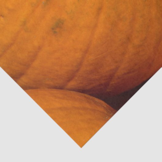 Kürbispflasterpapier Seidenpapier (Detail)