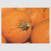 Kürbispflasterpapier Seidenpapier (Vorderseite)