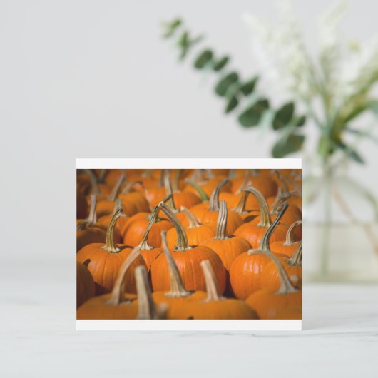 Kürbispicken Postkarte (Stehend Vorderseite)
