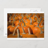 Kürbispicken Postkarte (Vorne/Hinten)