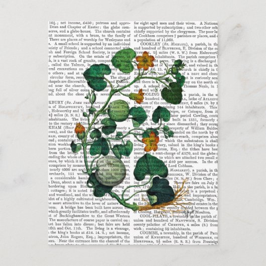 Kürbisranke 2 postkarte (Vorderseite)