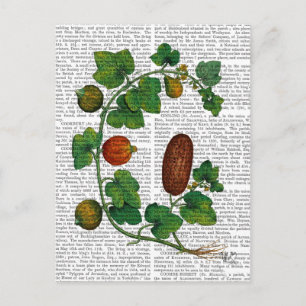 Kürbisranke 3 postkarte