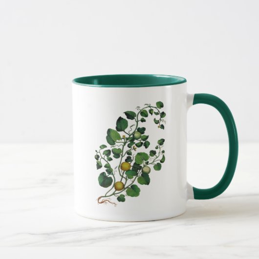 Kürbisranke 4 tasse (Rechts)