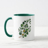 Kürbisranke 4 tasse (Links)
