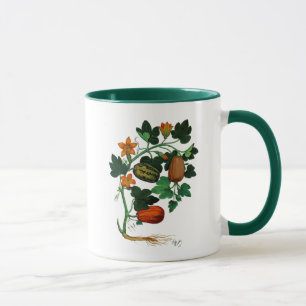 Kürbisrebe 1 tasse