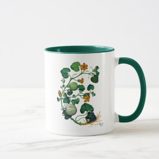 Kürbisrebe 2 tasse (Rechts)